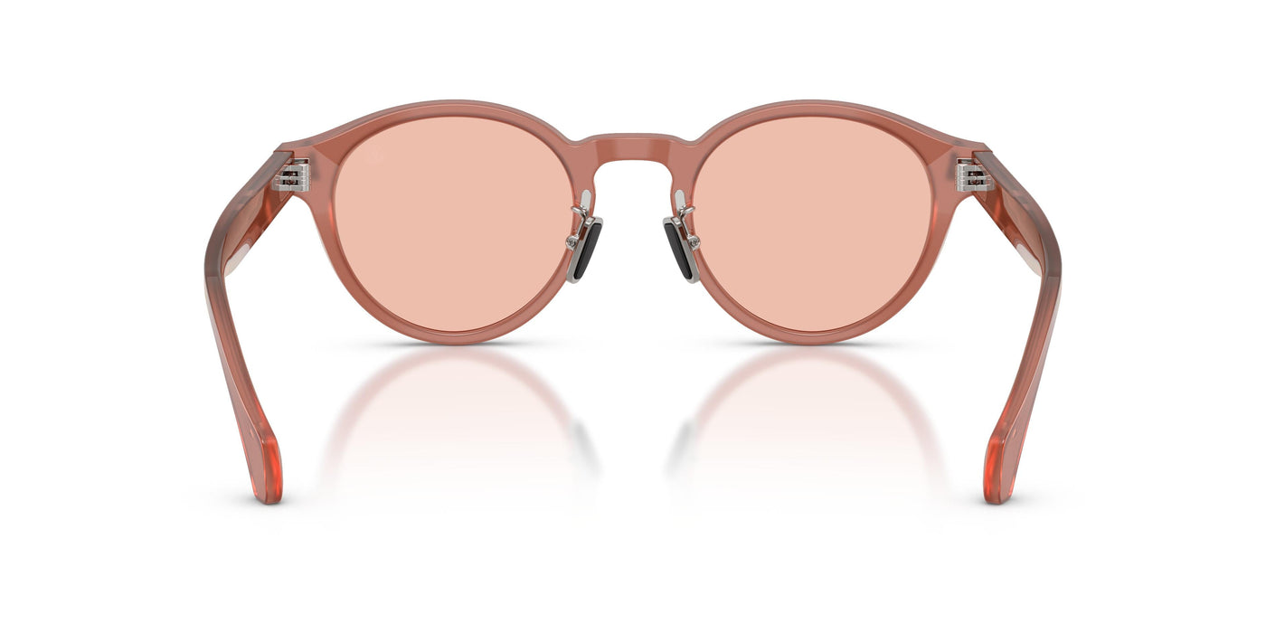 Prescription Glasses Moncler EMBER ME6017D 302684 49 22