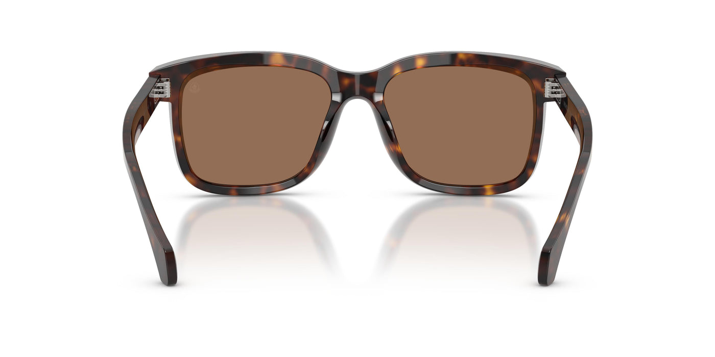 Brille Moncler VALAIRE ME6018 300273 54 17