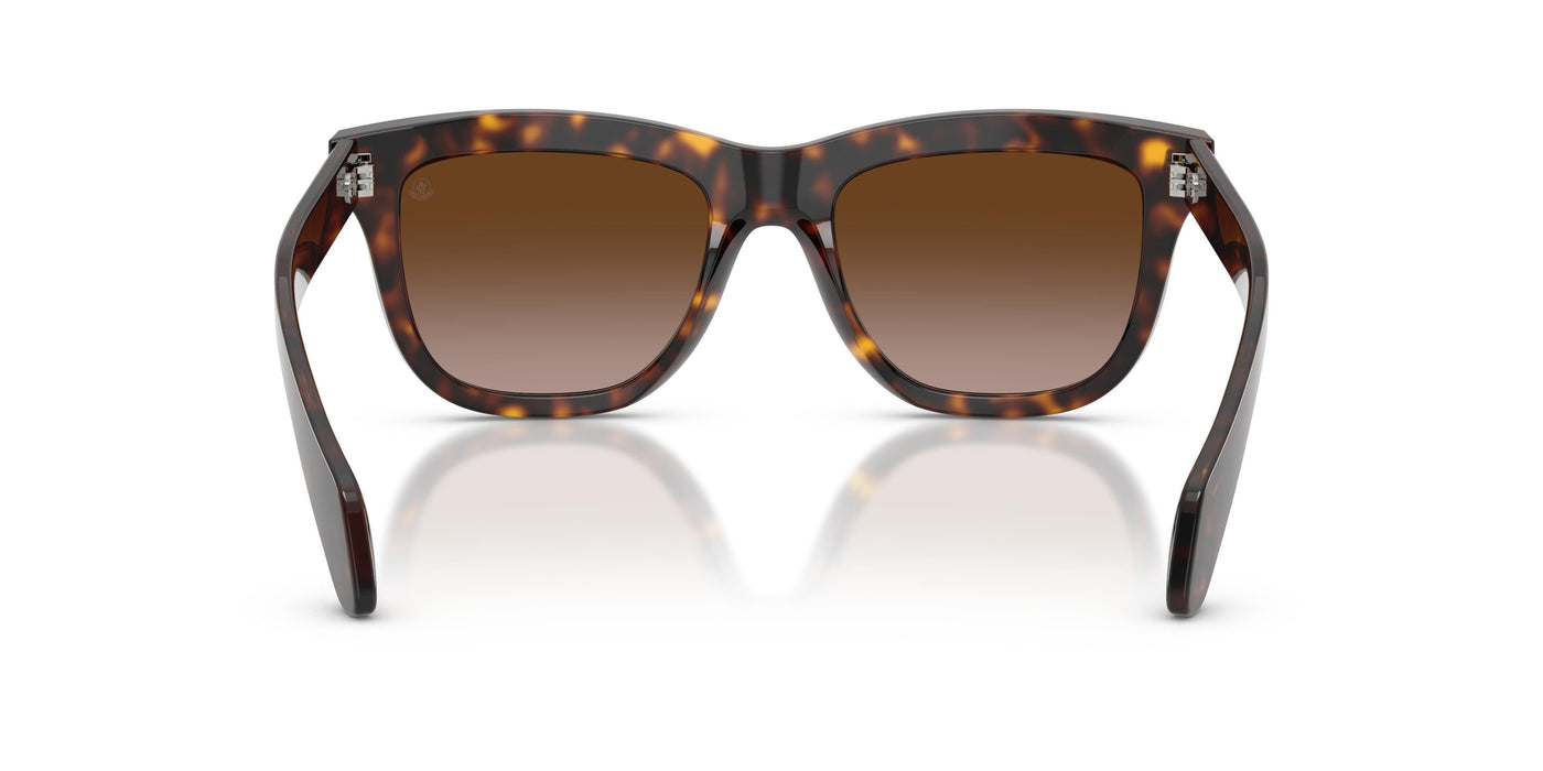 Brille Moncler ME6023 300213 52 19