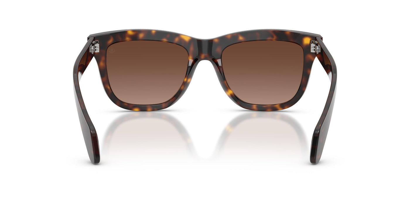 Gafas de Sol Moncler ME6023 3002T5 52 19