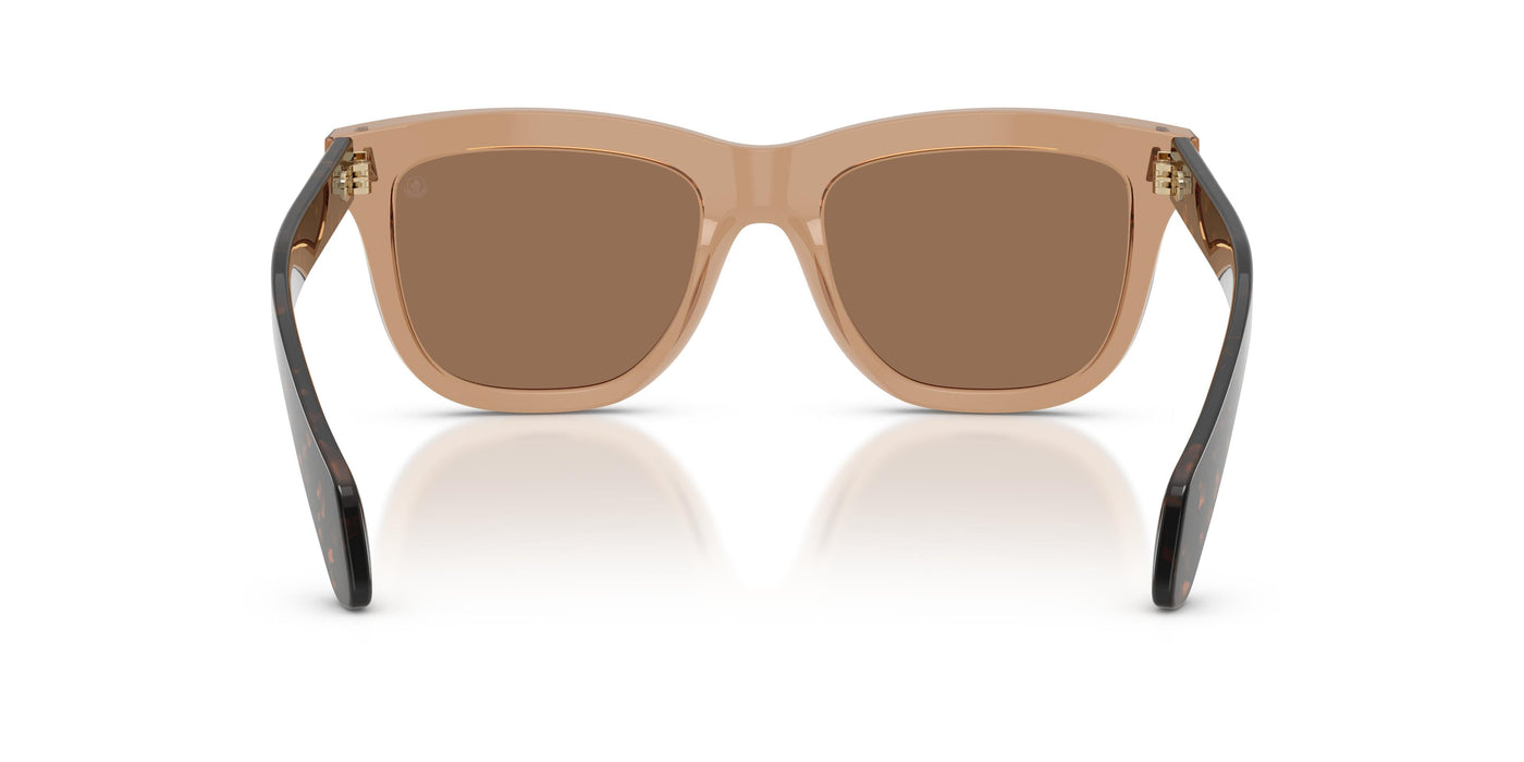 Gafas de Sol Moncler ME6023 303773 52 19