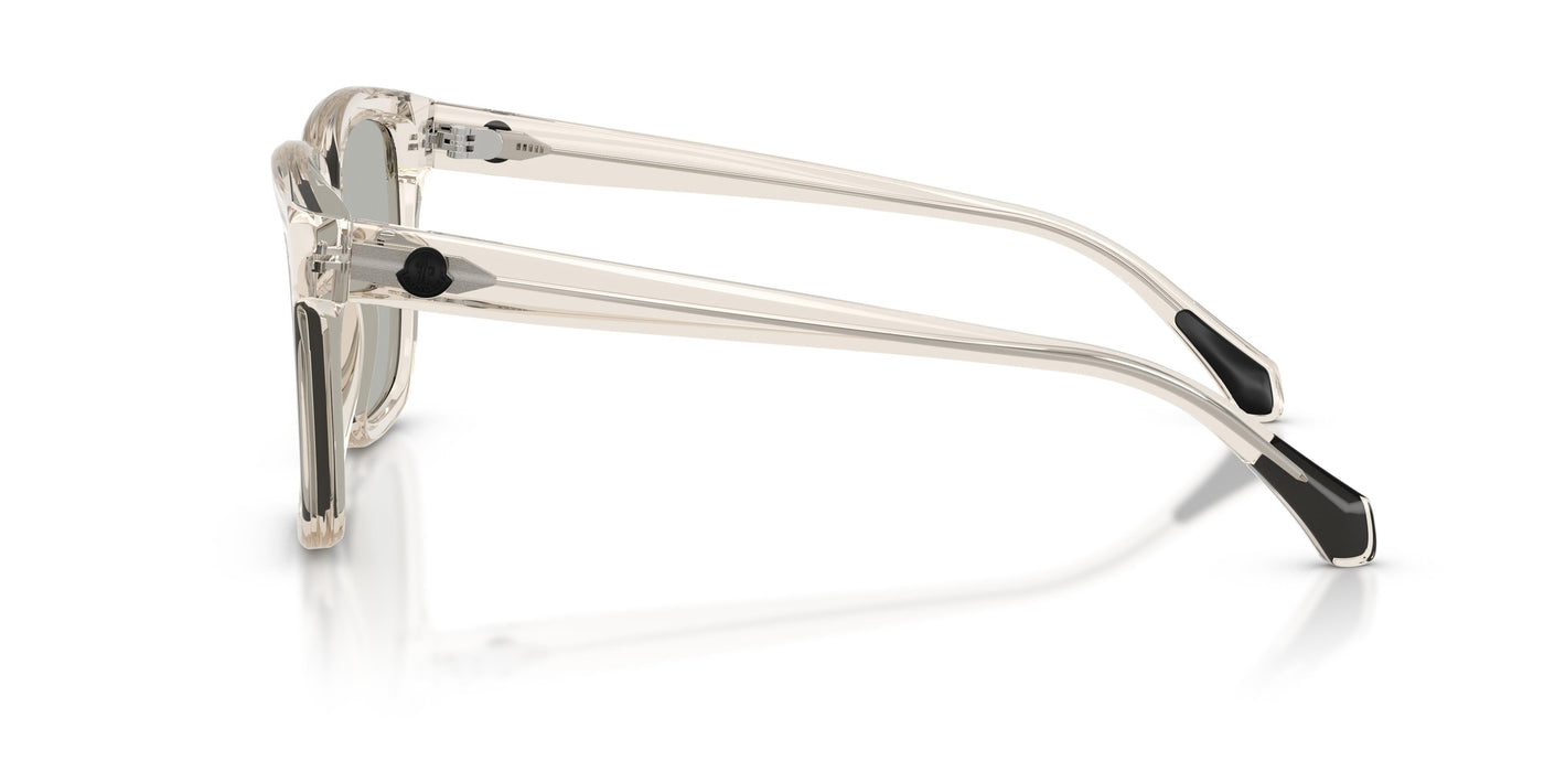 Brille Moncler ME6026 30037I 54 16