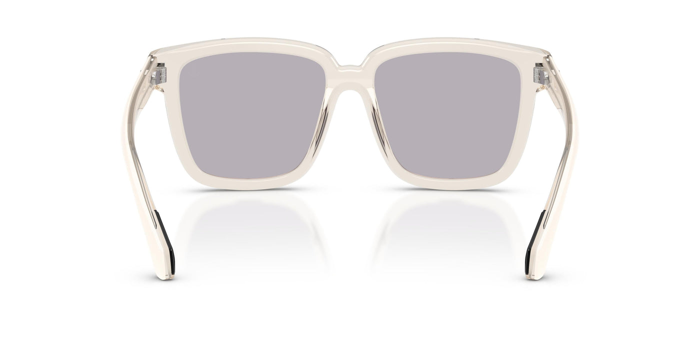 Gafas de Sol Moncler ME6026 3003M3 54 16