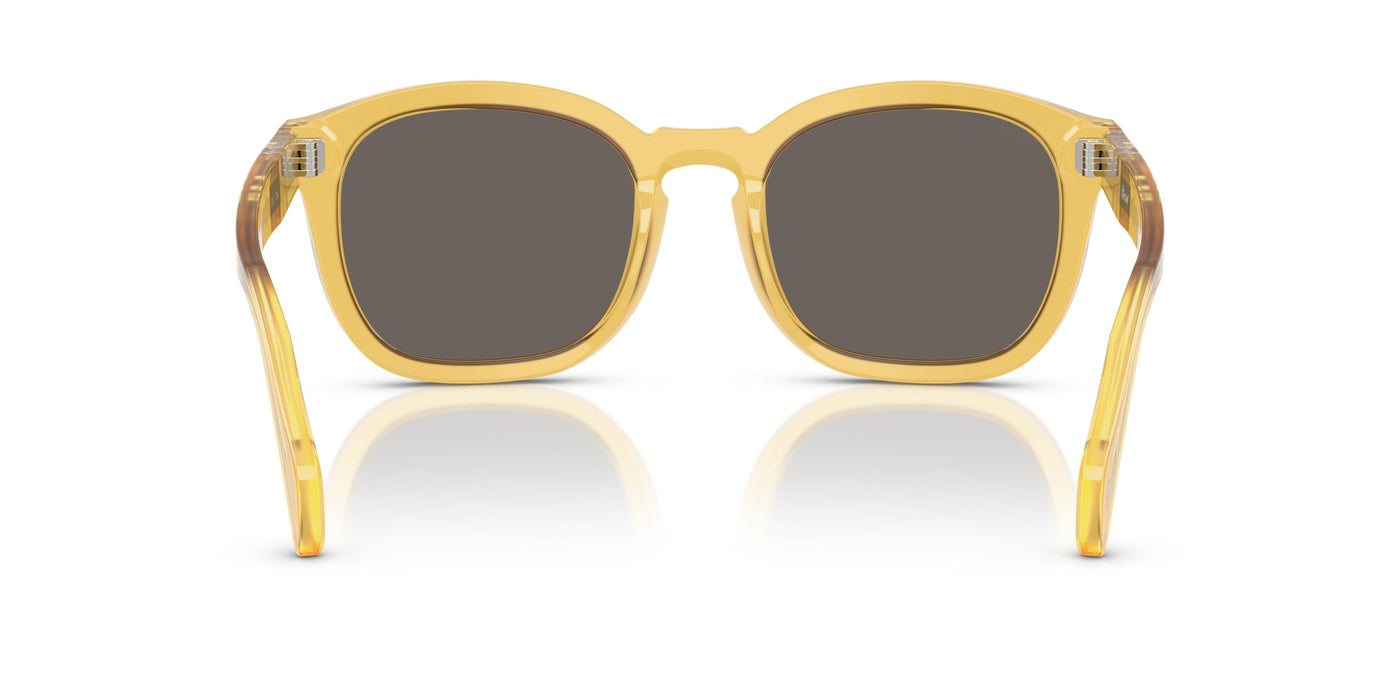 Gafas Graduadas Persol PO0082S 204/B1 54 22