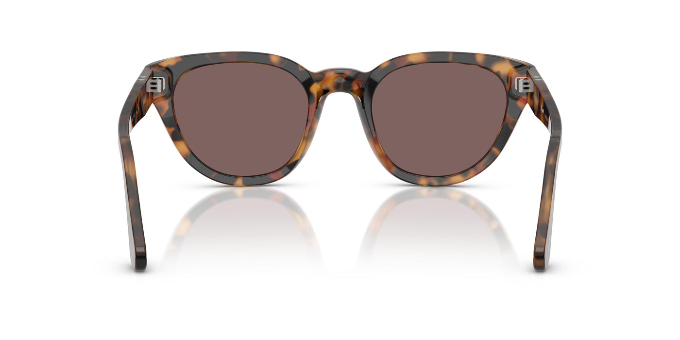 Gafas Graduadas Persol PO3379S 105253
