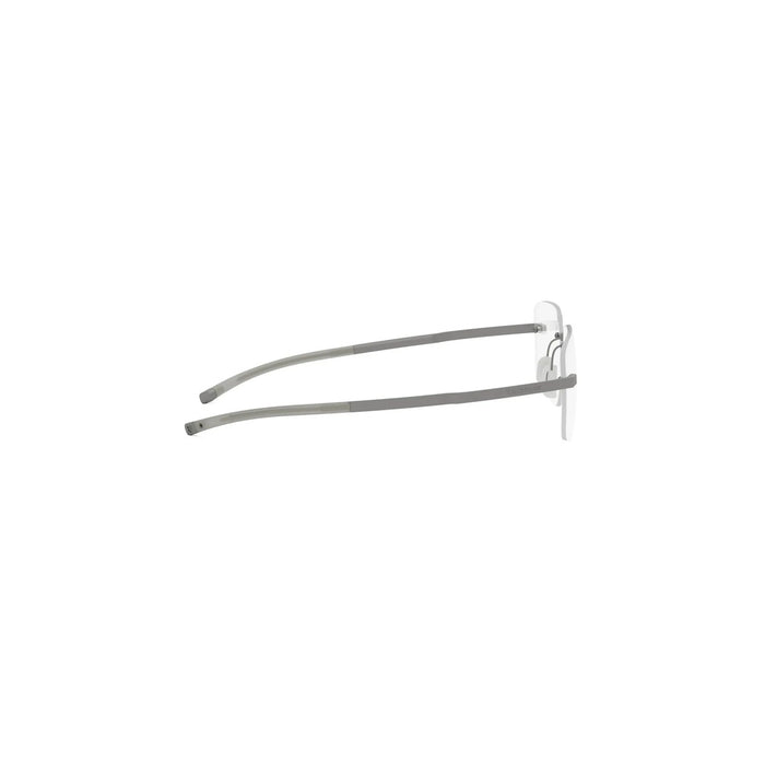 FLEX TITANIUM — vista 6