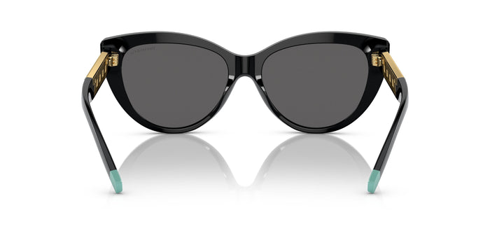 Tiffany TF4196 8001S4 56 16 太阳镜 — vista 3