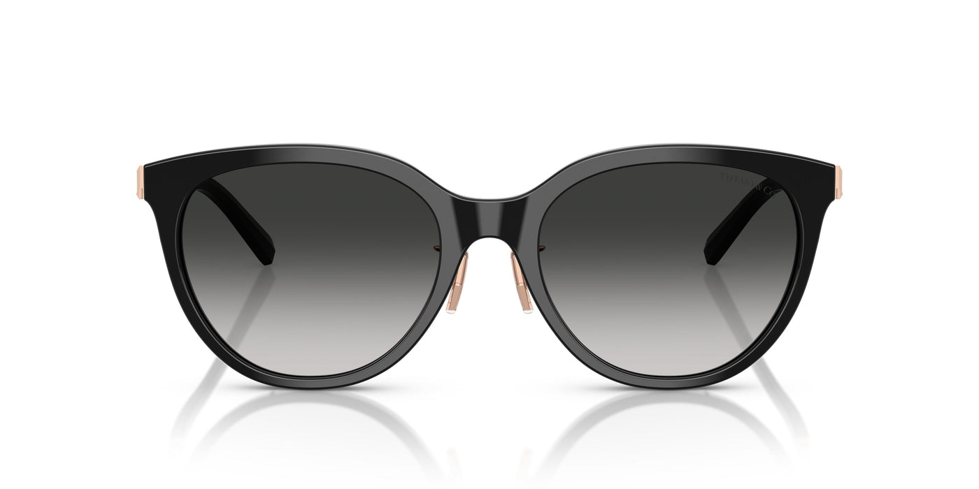 Gafas Graduadas Tiffany TF4243D 80013C 55 19