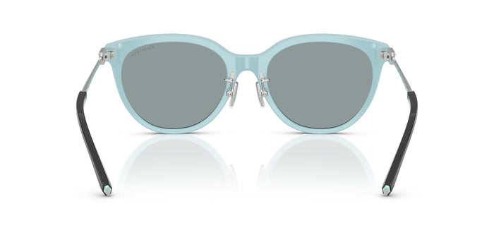 TF4243D — vista 3