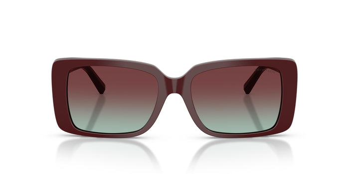 Gafas de Sol Tiffany TF4249 8389V5 55 17 — vista 4