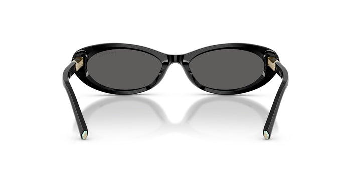 TF4250 — vista 3