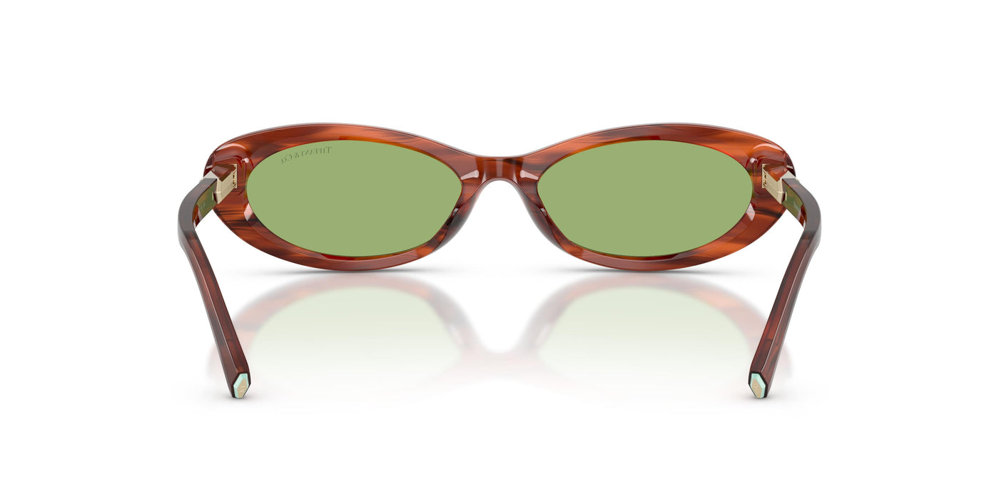 Gafas Graduadas Tiffany TF4250 8440/2 56 17