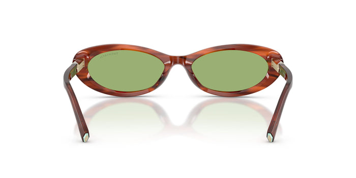 Tiffany TF4250 8440/2 56 17 太阳镜 — vista 3