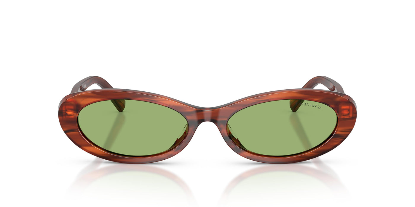 Gafas Graduadas Tiffany TF4250 8440/2 56 17