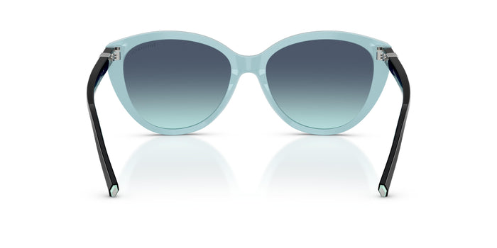 TF4251 — vista 3