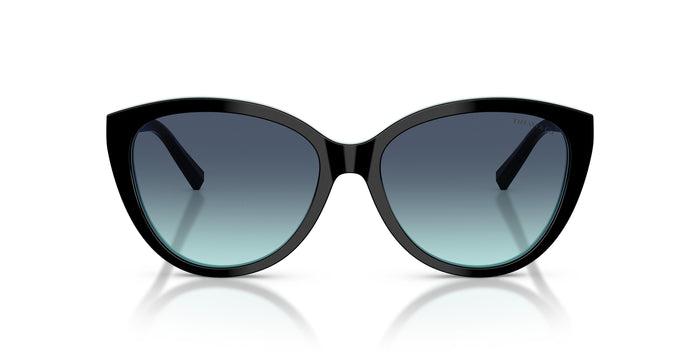 TF4251 — vista 4