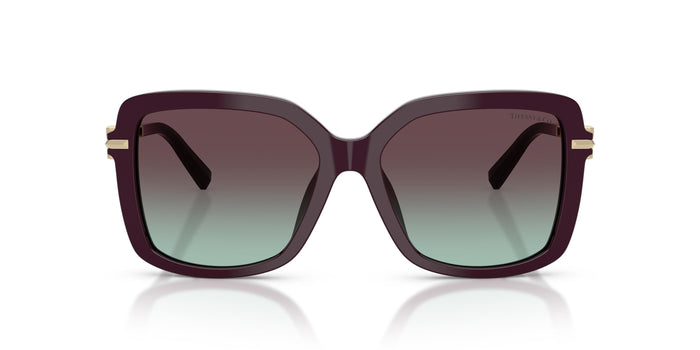 Gafas de Sol Tiffany TF4252B 8427V7 55 16 — vista 4