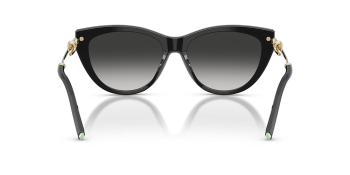 TF4253 — vista 3
