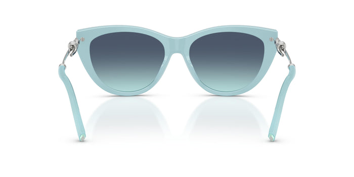 TF4253 — vista 3