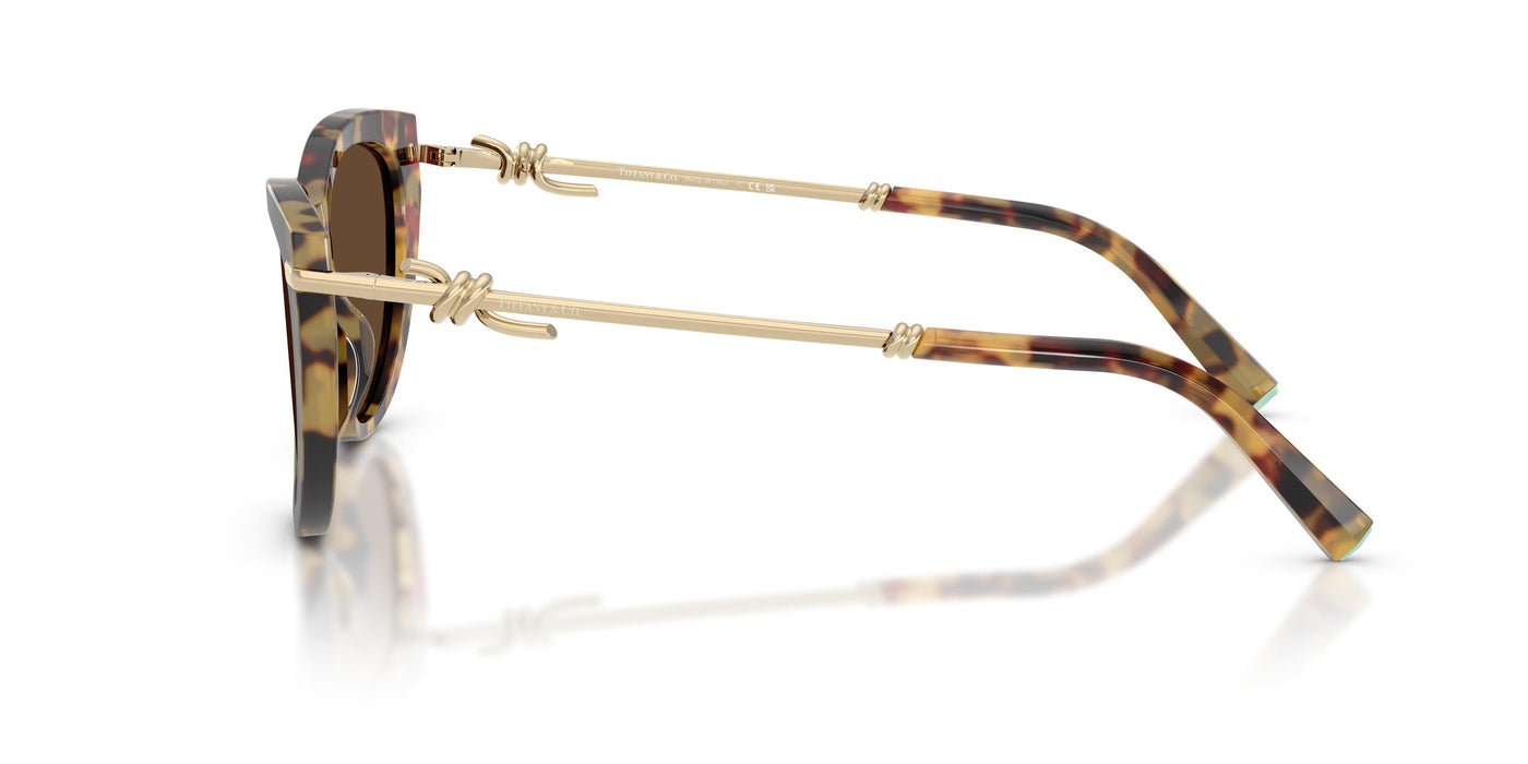 Gafas Graduadas Tiffany TF4253 80643G 55 16