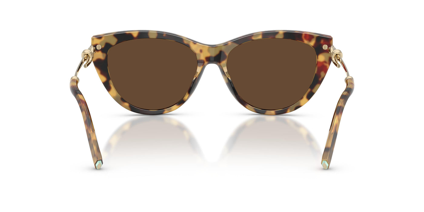 Gafas Graduadas Tiffany TF4253 80643G 55 16