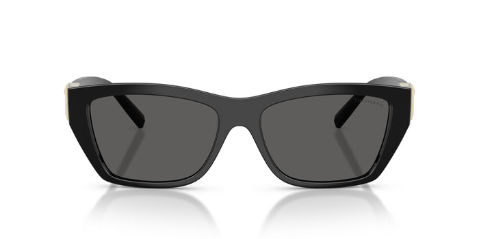 TF4255U — vista 4