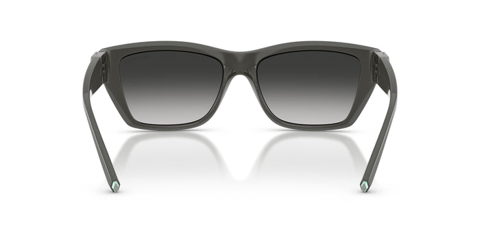Tiffany TF4255U 84463C 56 16 太阳镜 — vista 3