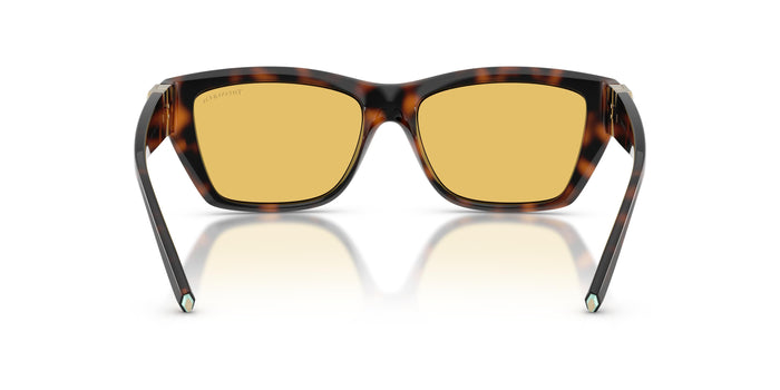 TF4255U — vista 3