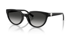 Gafas Graduadas Tiffany TF4256D 80013C 55 19