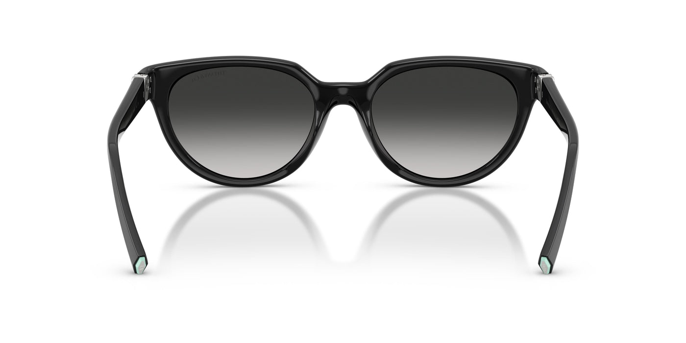 Gafas Graduadas Tiffany TF4256D 80013C 55 19