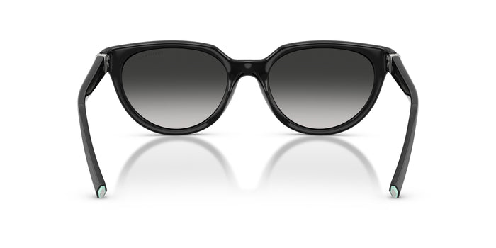 Gafas de Sol Tiffany TF4256D 80013C 55 19 — vista 3