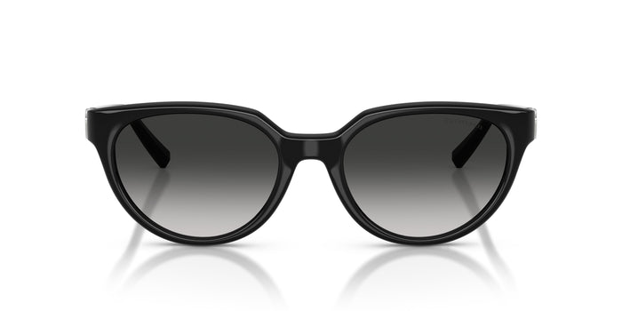 Gafas de Sol Tiffany TF4256D 80013C 55 19 — vista 4