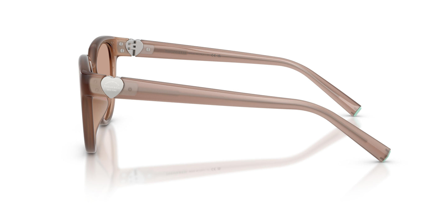 Gafas Graduadas Tiffany TF4256D 844973 55 19