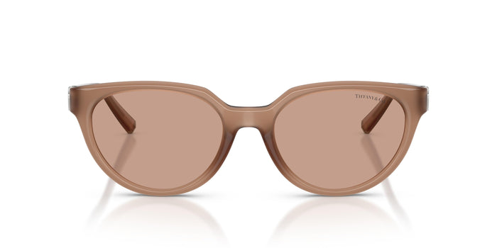 Gafas de Sol Tiffany TF4256D 844973 55 19 — vista 4