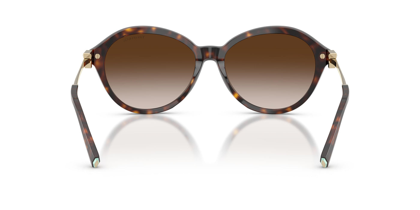 Gafas Graduadas Tiffany TF4259 80153B 56 16