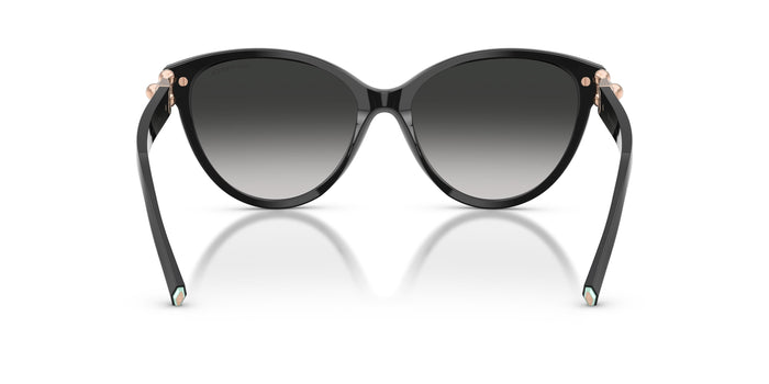 TF4261 — vista 3