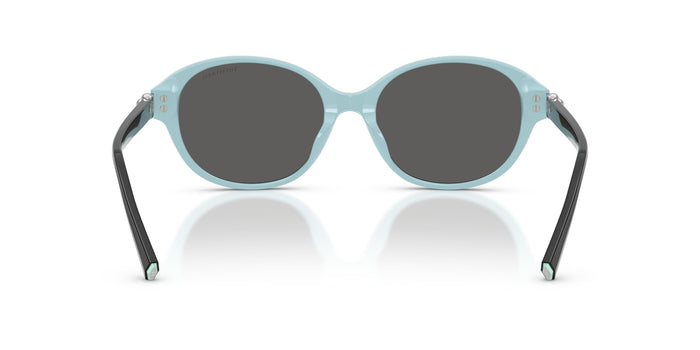 TF4263D — vista 3