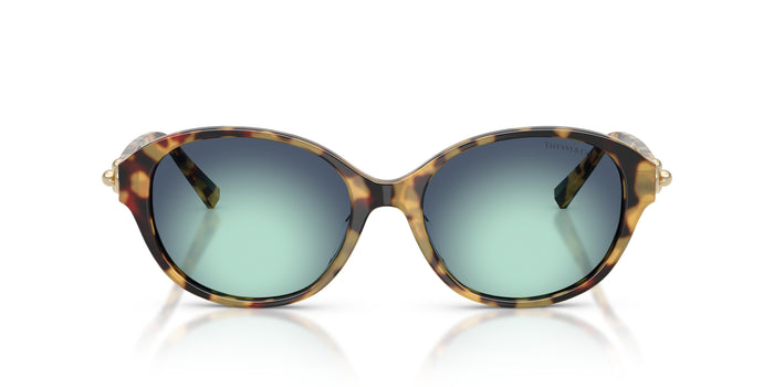 Gafas de Sol Tiffany TF4263D 80649S 54 17 — vista 4