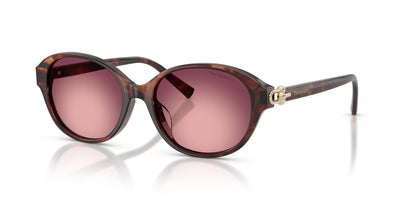Gafas de Sol Tiffany TF4263D 84218H 54 17