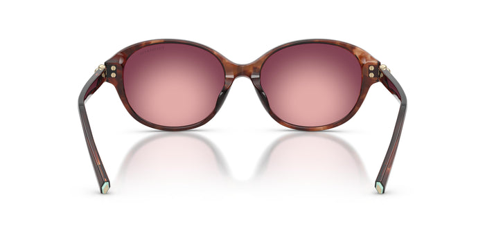 Gafas de Sol Tiffany TF4263D 84218H 54 17 — vista 3