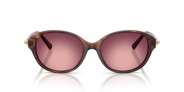 Gafas de Sol Tiffany TF4263D 84218H 54 17 — vista 4