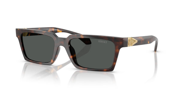 Gafas de Sol Versace VE4490U 108/87 55 18