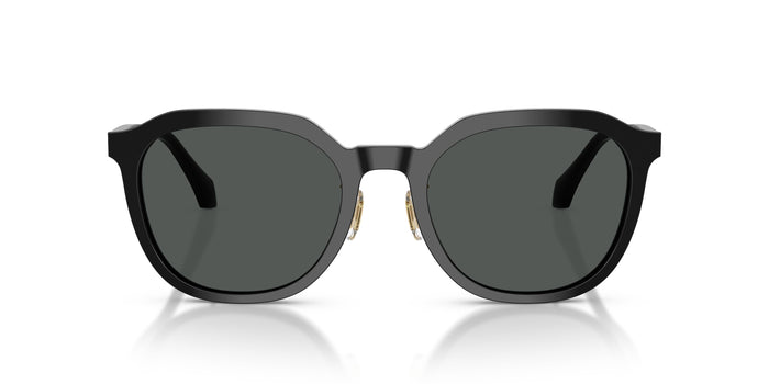 VE4493D — vista 4