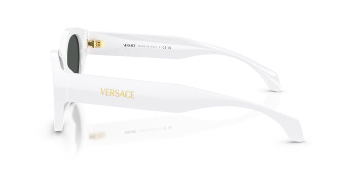 VE4495D — vista 2
