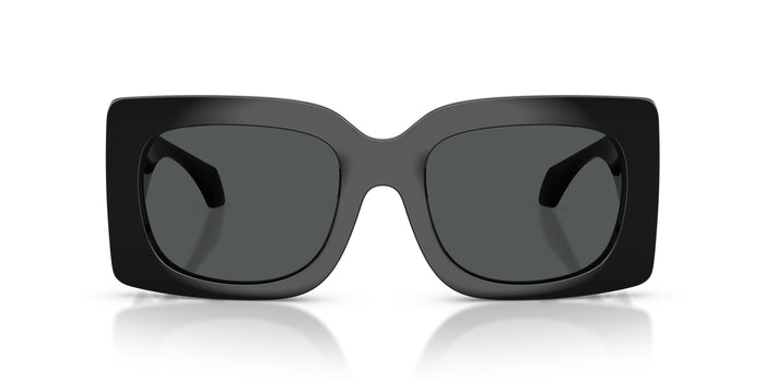 VE4496U — vista 4