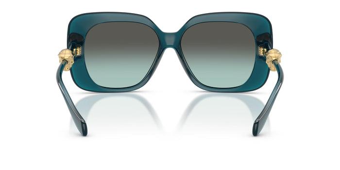 VE4499U — vista 3