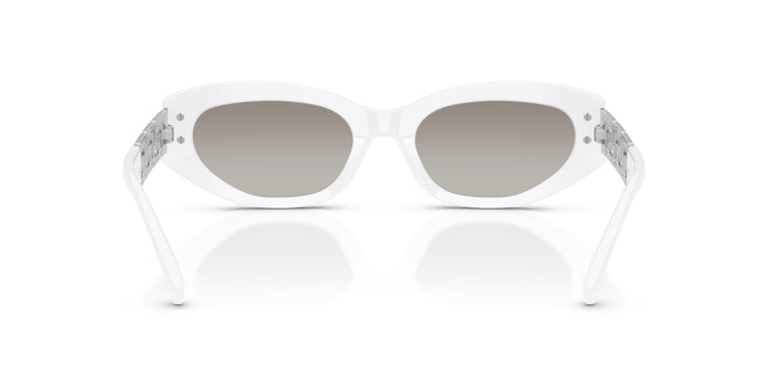 VE4501 — vista 3