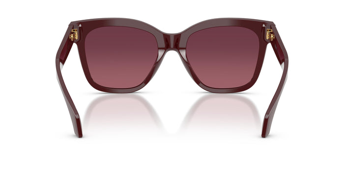 VE4511 — vista 3