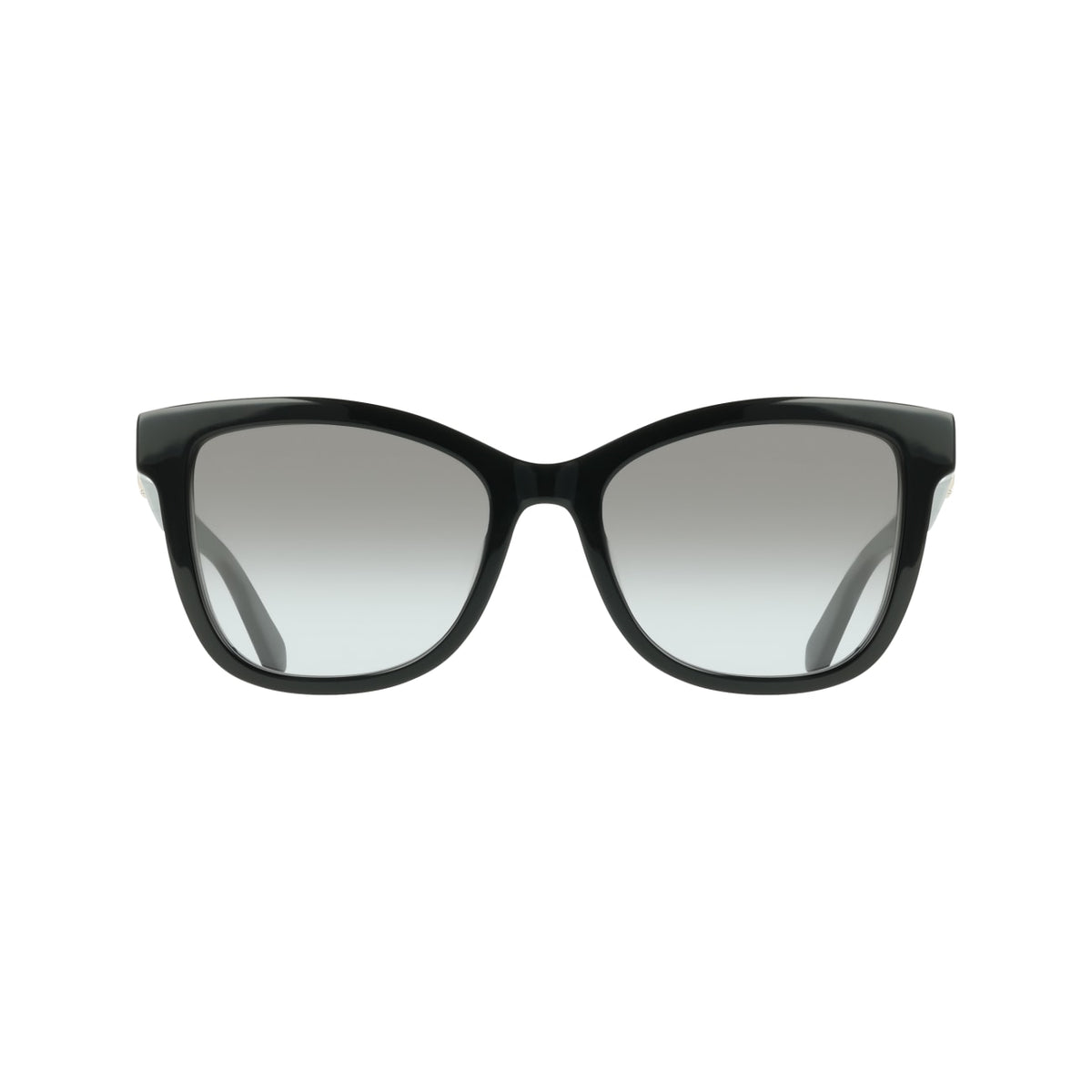 Sunglasses Ferragamo SF2108S 001 54 19
