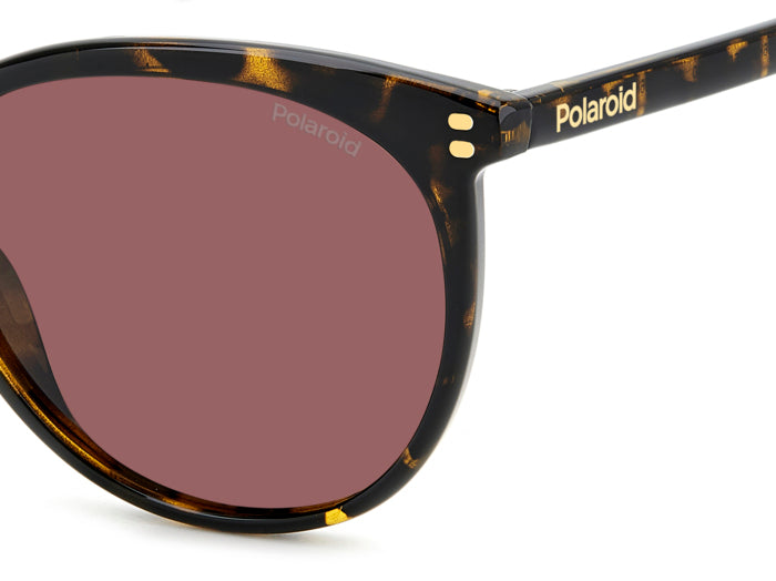 Gafas de Sol Polaroid PLD 6231/S 086KL 55 18 — vista 5